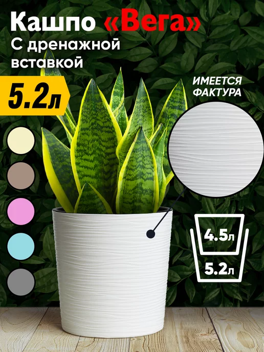 Wildberries — интернет-магазин модной одежды, обуви и аксессуаров