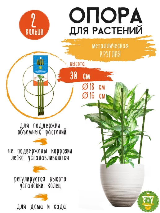 Алоказия Мело (alocasia Melo) - hostel3chemodana.ru