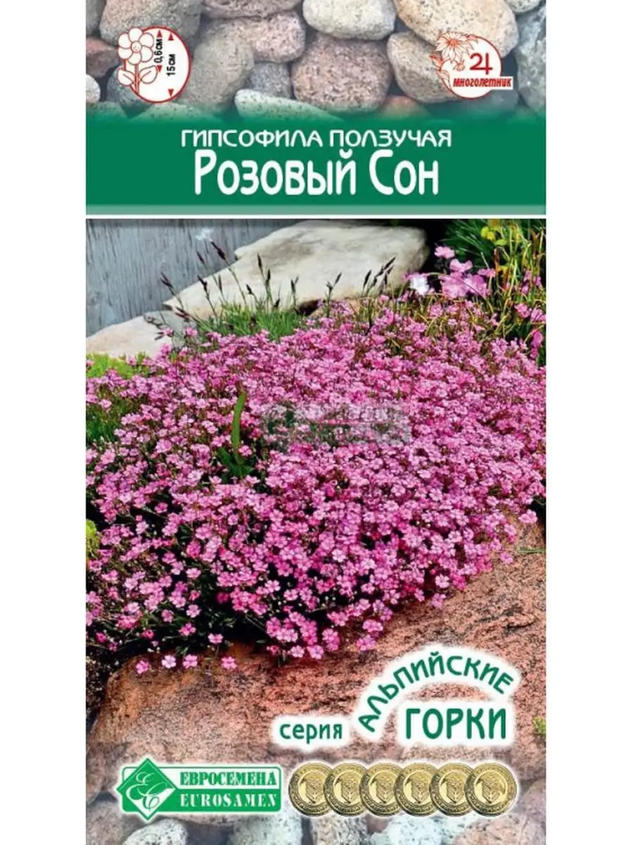 Гипсофила ползучая «Розовый Сон» семена Стильные цветы купить по цене 0 сум  в интернет-магазине Wildberries в Узбекистане | 134378943