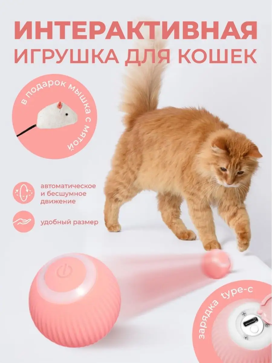 Интерактивная игрушка для кошек мячик PlayCat купить по цене 385 ₽ в  интернет-магазине Wildberries | 136481236