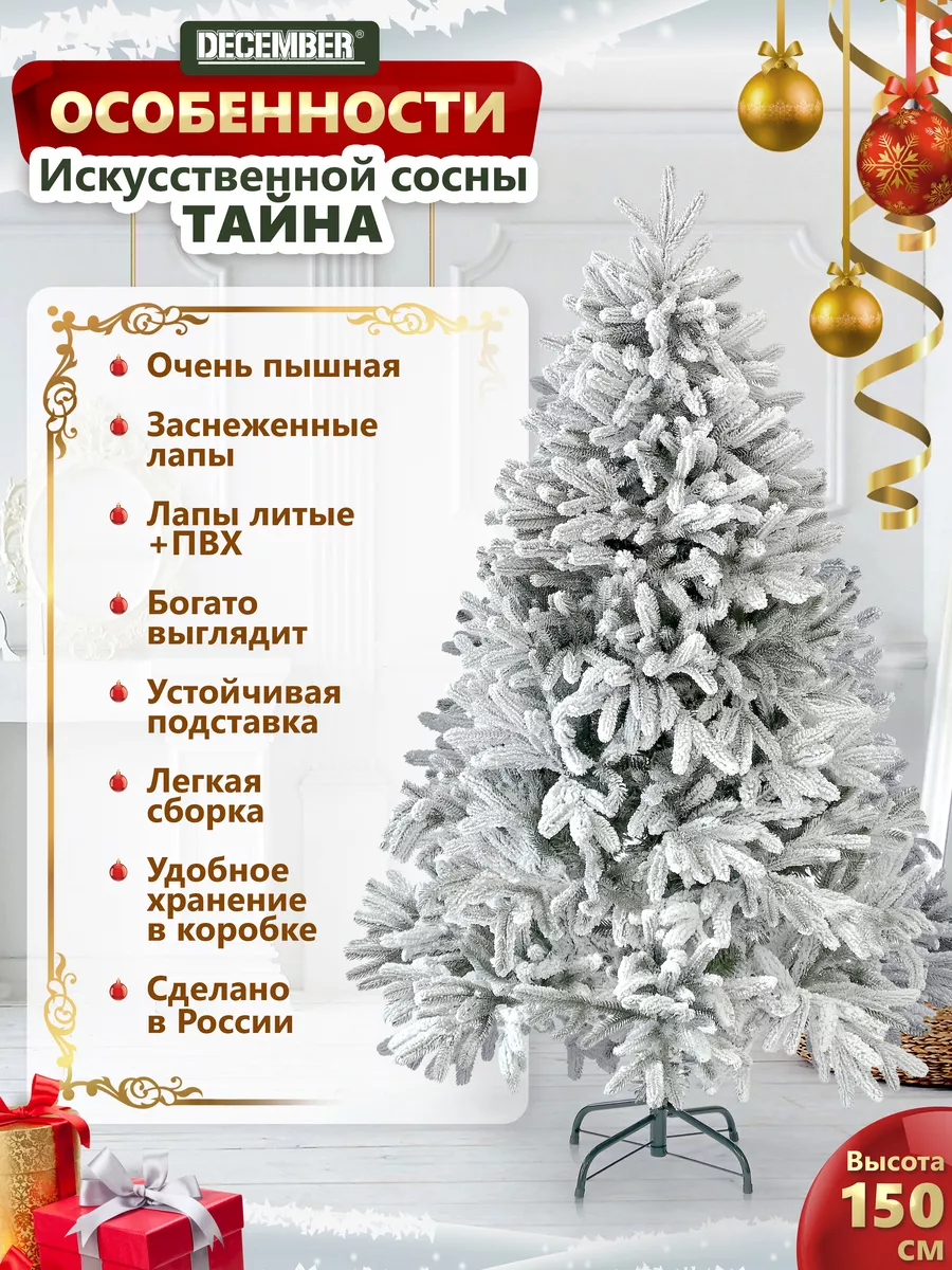 Где найти хорошую живую ёлку в Петербурге и Ленобласти