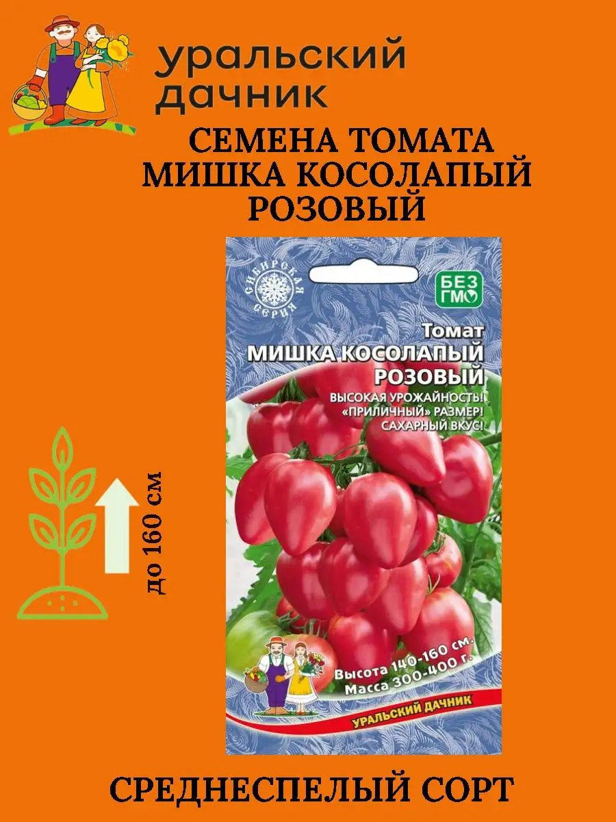 Помидоры мишка косолапый отзывы. Найти семена томата мишка косолапый.