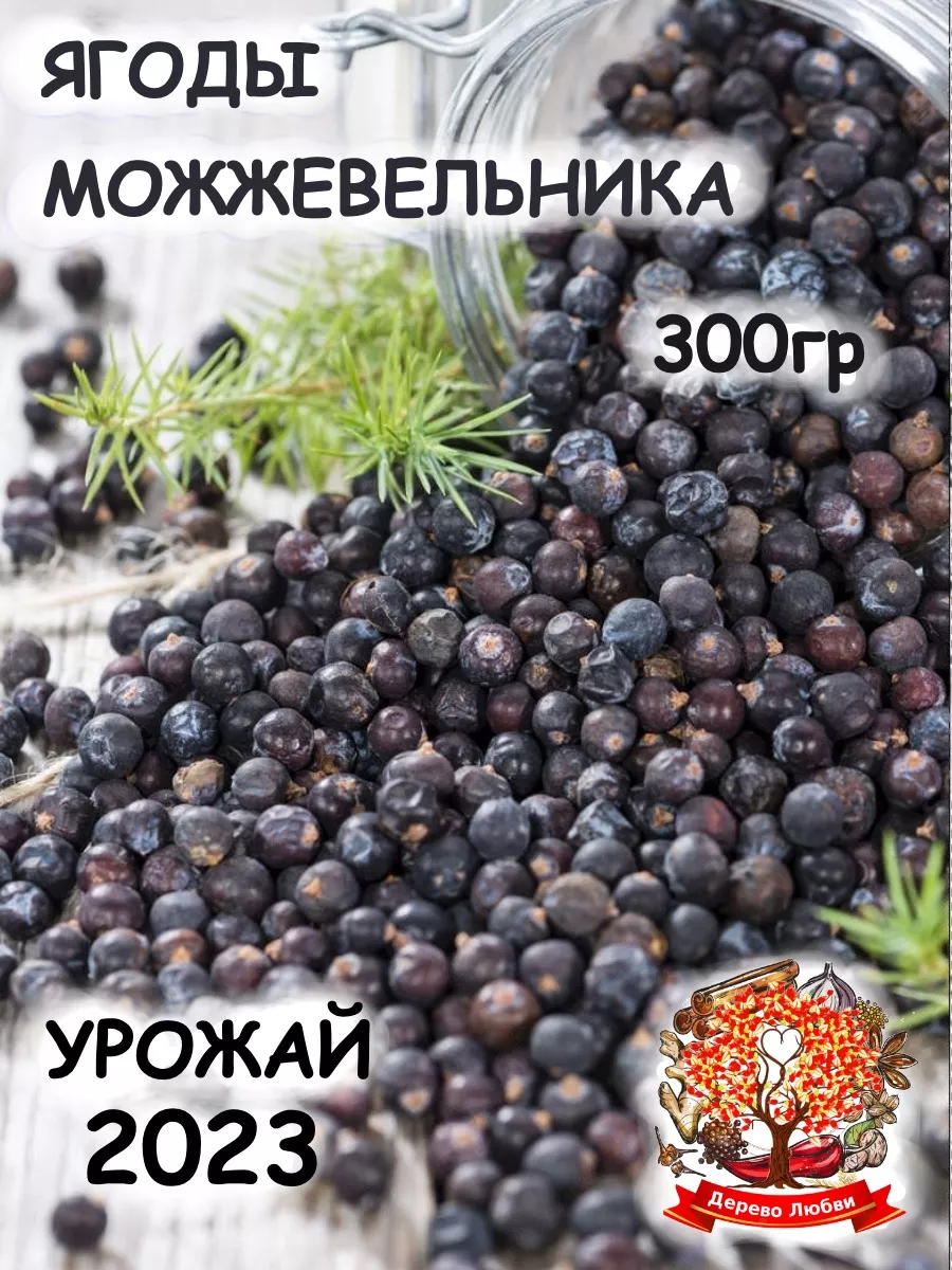 Можжевельник ягоды Дерево Любви купить по цене 630 ₽ в интернет-магазине  Wildberries | 138060637