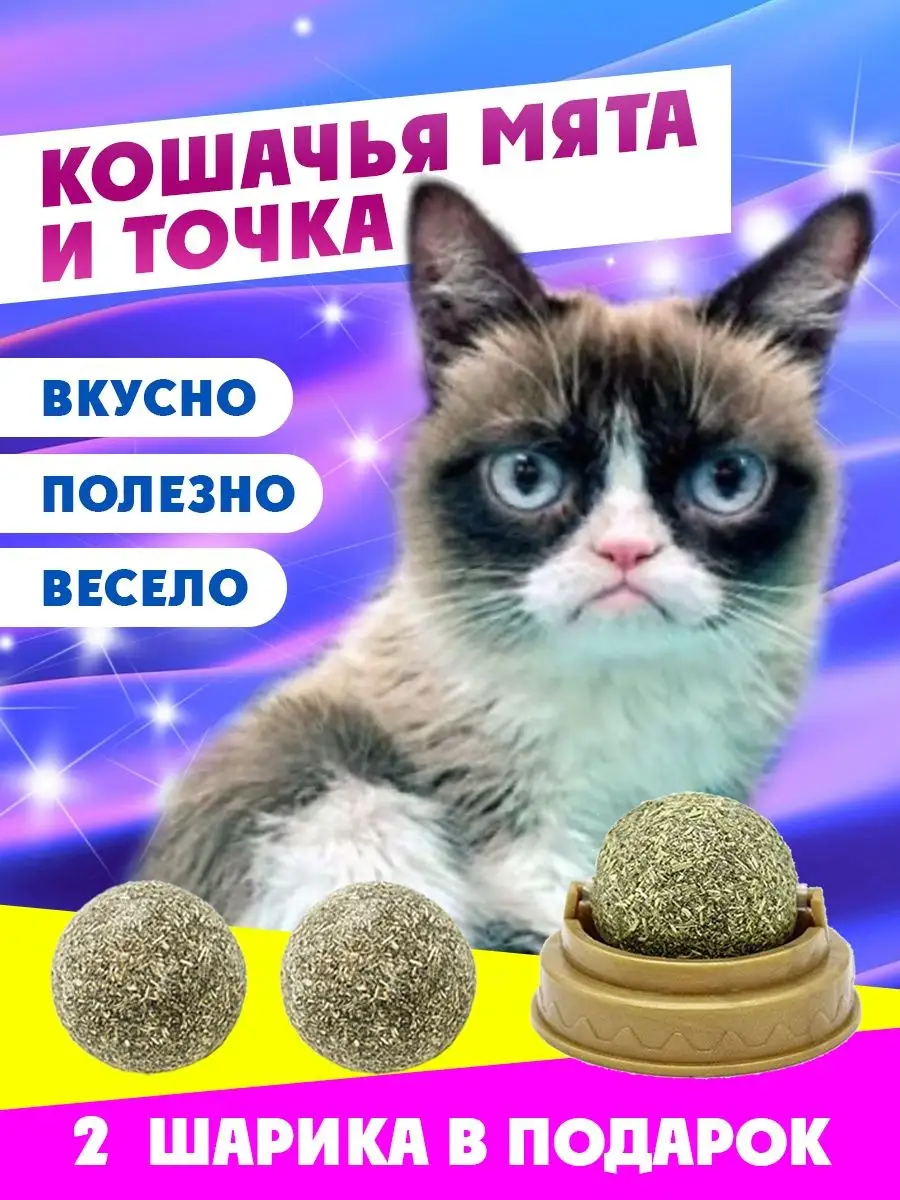 Лакомства для кошек, Кошачья мята