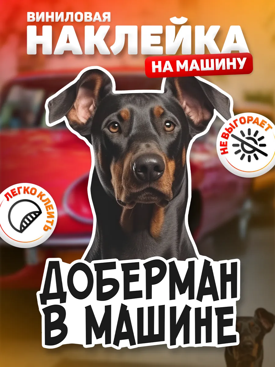 DANGER DOG осторожно злая собака Наклейка на авто, Доберман в машине