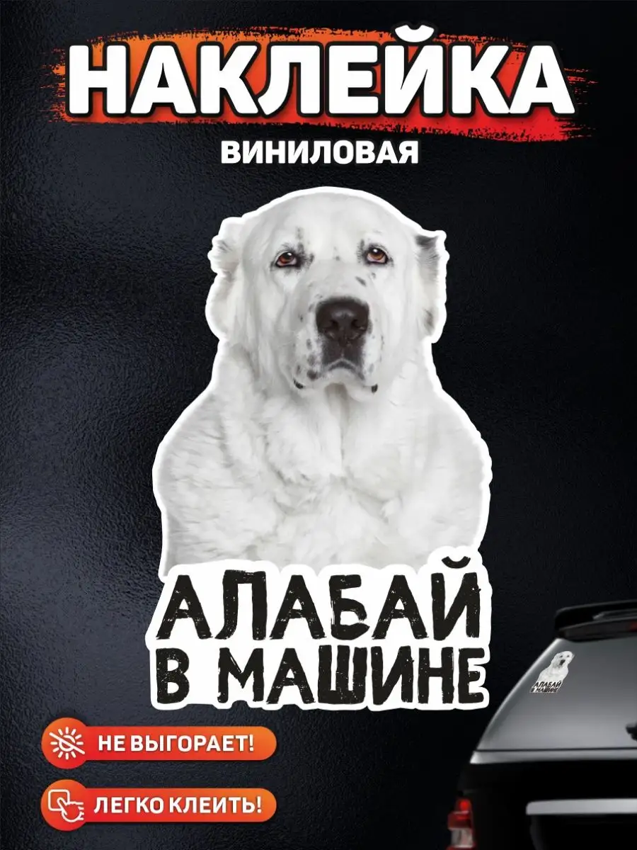 DANGER DOG осторожно злая собака Наклейка на авто, Алабай в машине