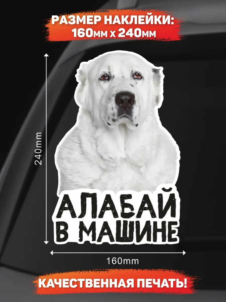 DANGER DOG осторожно злая собака Наклейка на авто, Алабай в машине