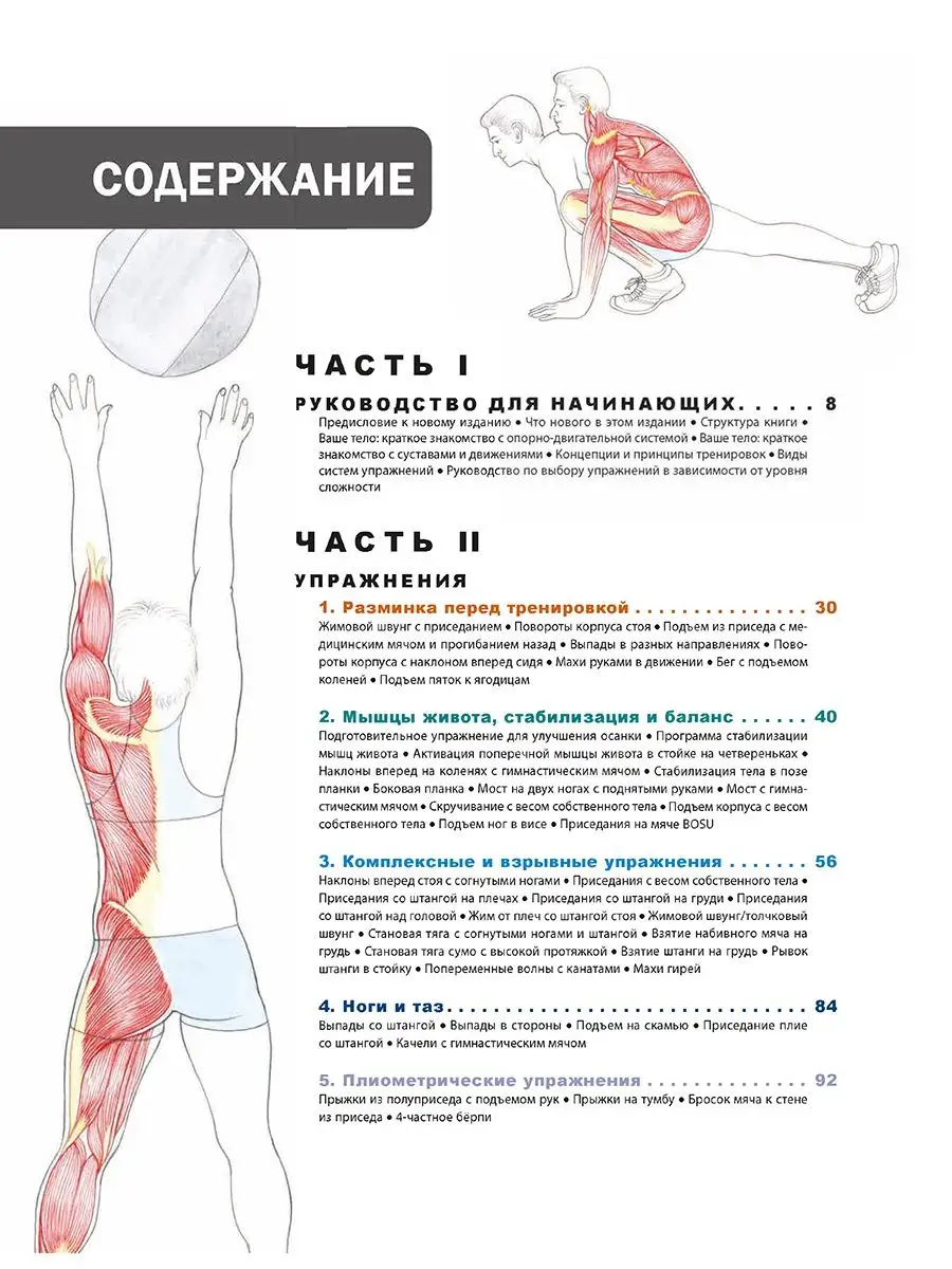 Попурри Анатомия фитнеса и силовых упражнений