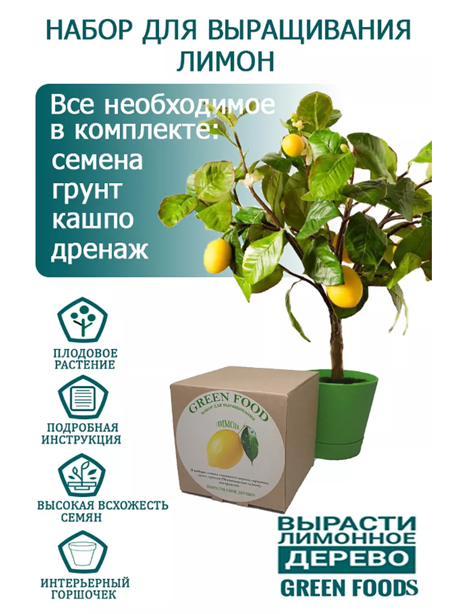 Домашний лимон, набор, лимонное дерево Green foods купить по цене 15,68 р.  в интернет-магазине Wildberries в Беларуси | 140008033