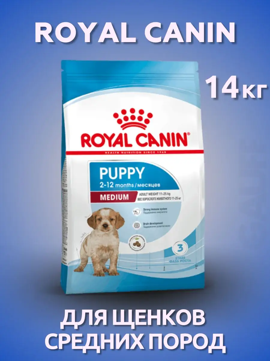 Royal best sale canin medium