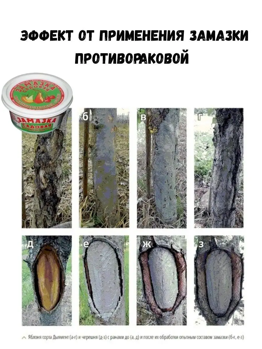 Замазка для коры деревьев. Лечение деревьев. Замазка для дерева. Пломбирование дупел деревьев. Как пользоваться садовым варом при повреждении дерева.