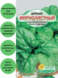 Сибирские сортовые семена Шпинат Жирнолистный раннеспелый