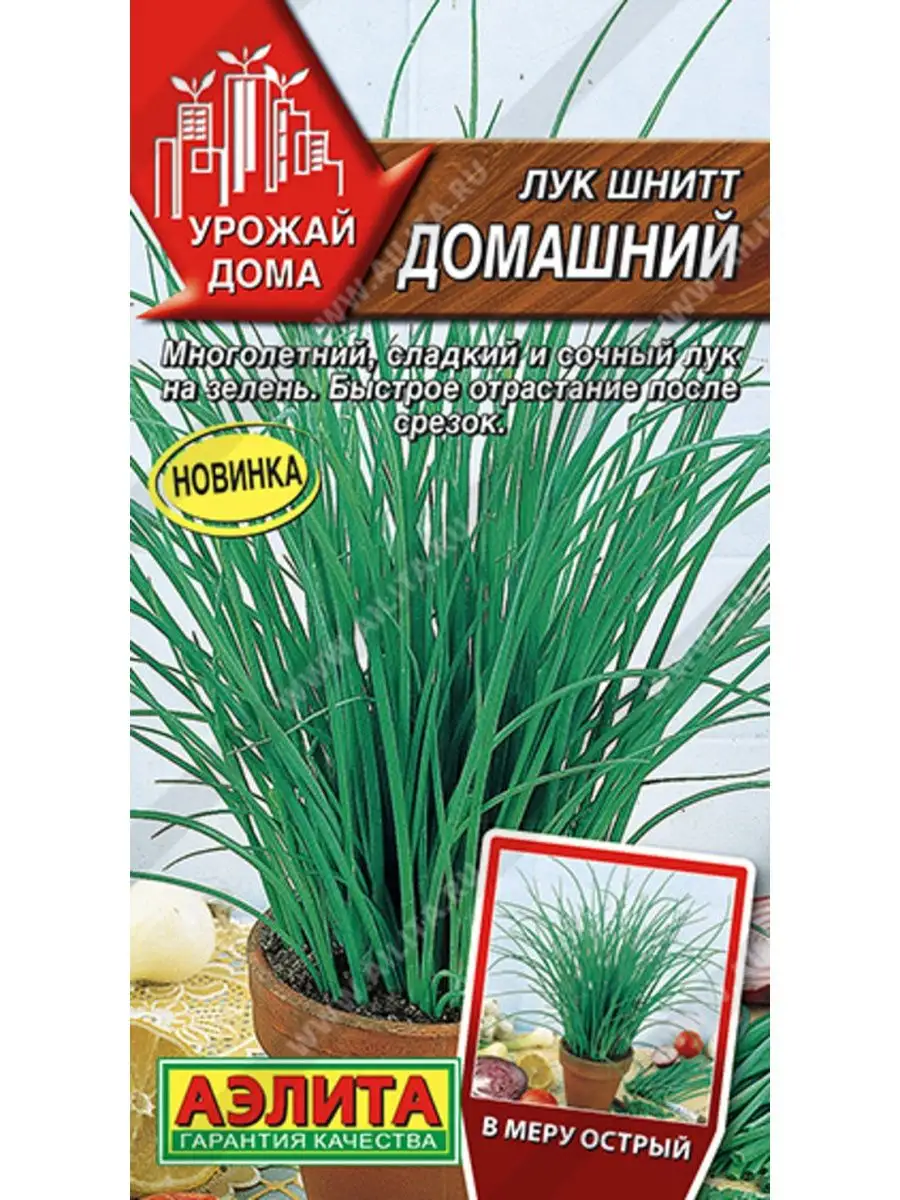 Семена лук ШНИТТ ДОМАШНИЙ 0,5 г ДАЧА ОНЛАЙН купить по цене 101 ₽ в  интернет-магазине Wildberries | 140584097