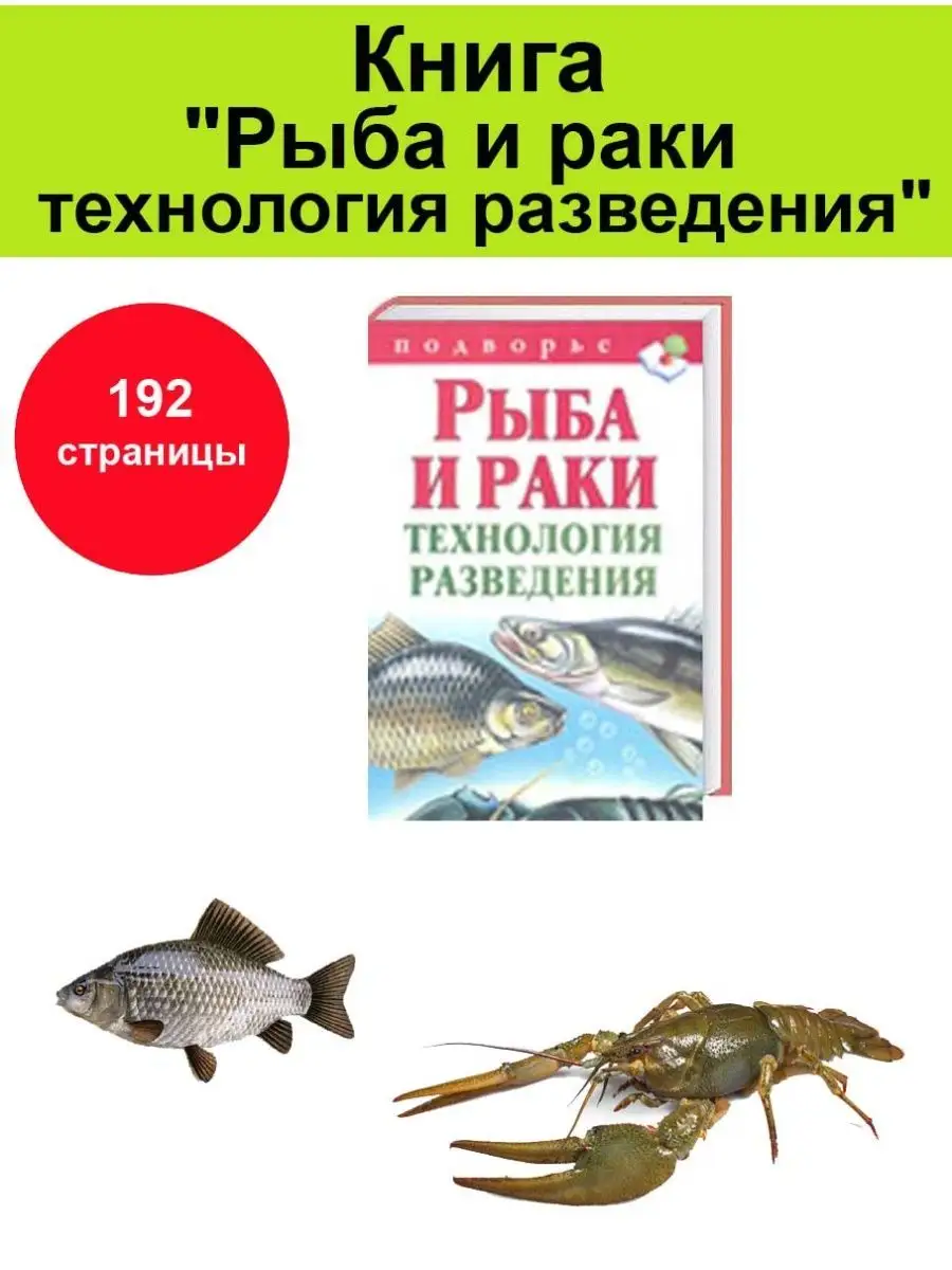 Какую рыбу разводить на даче в пруду. Самые неприхотливые и зимующие виды