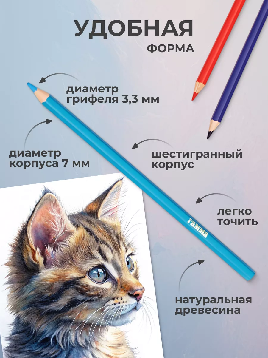 Карандаши в пенале картинки