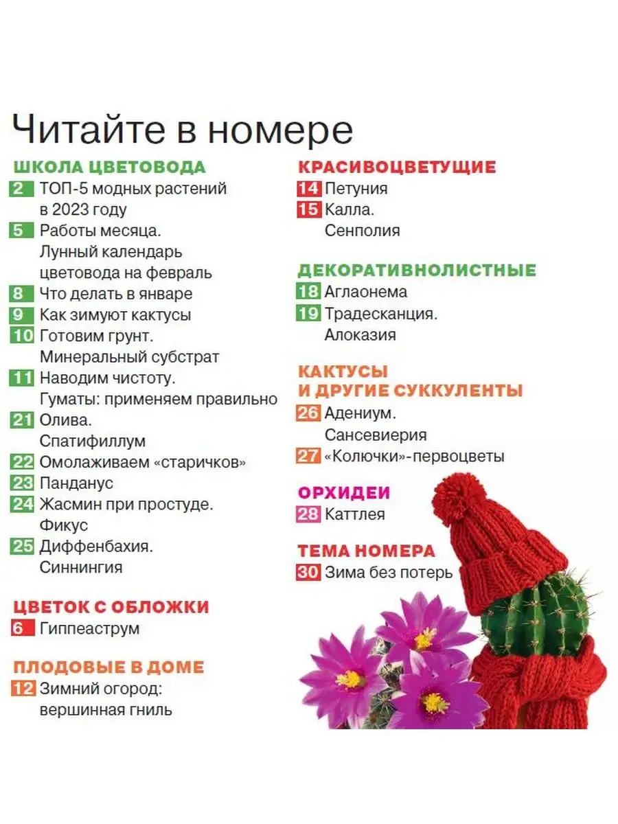 Журнал. Комнатные растения. Гиппеаструм №1 23 Домашние цветы купить по цене  184 ₽ в интернет-магазине Wildberries | 141701167