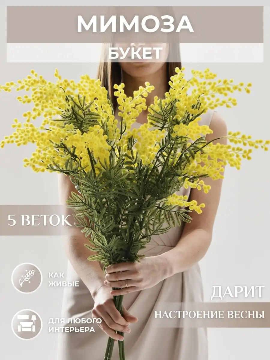 сатурния мимоза: buy in Живые Чудо Бабочки Куколки Калининград's catalog | VK