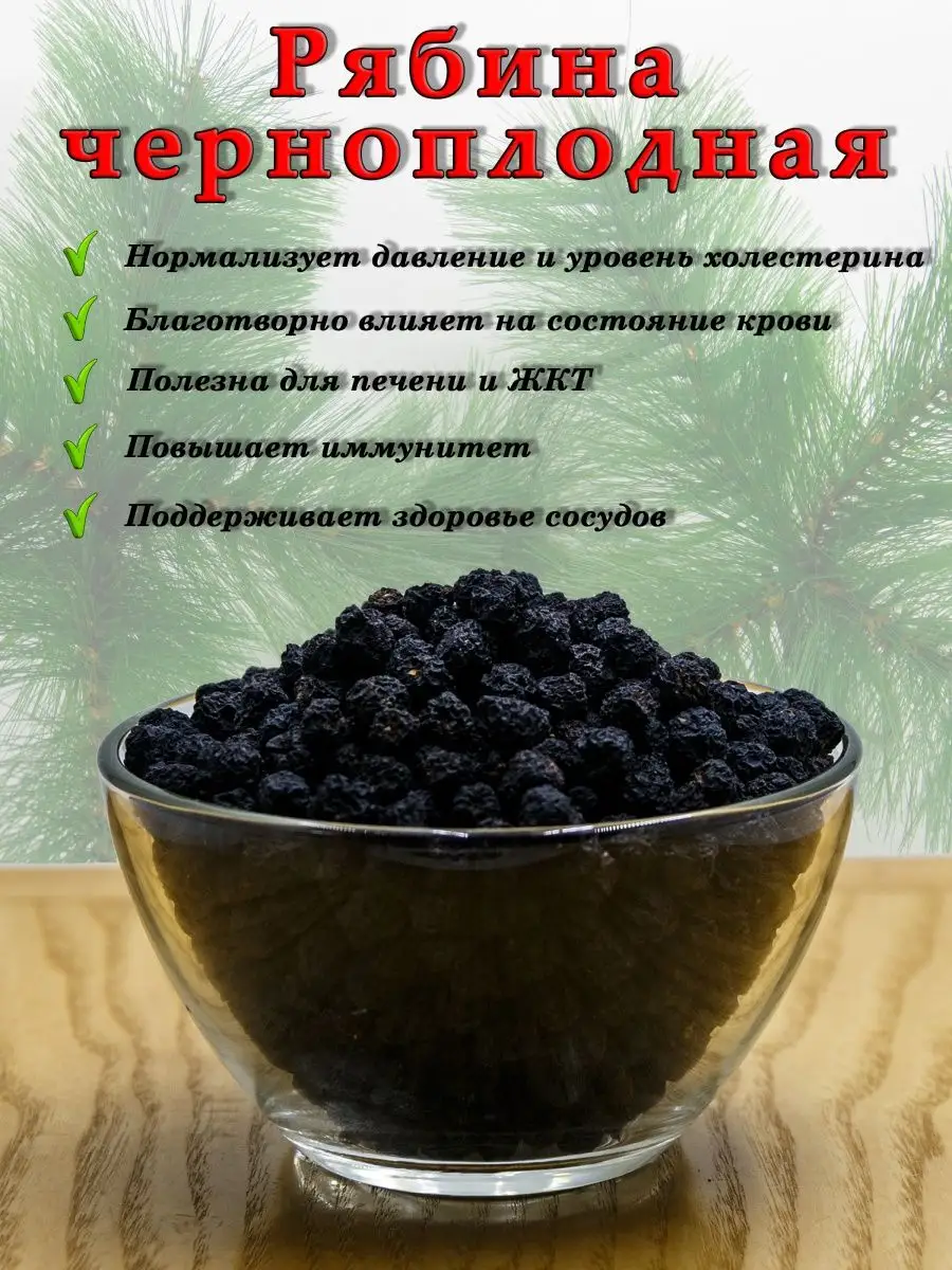 Черноплодная рябина: польза и вред для здоровья мужчин, женщин, детей