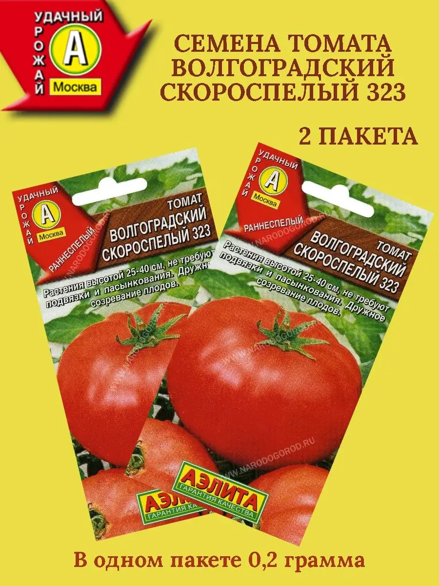 Томат волгоградский фото. Томат Волгоградский. Помидоры волгоградские зори. Помидоры Волгоград огромный.