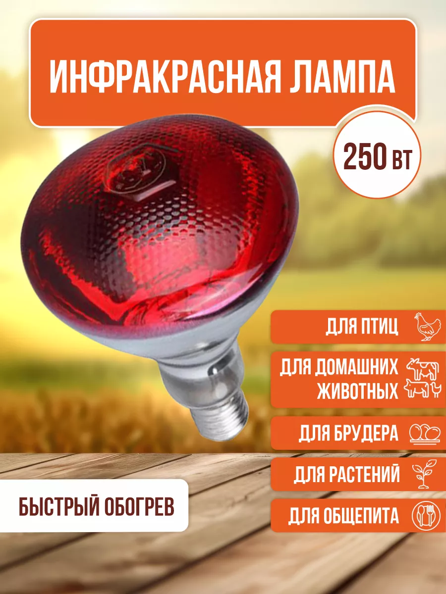 Инфракрасная лампа для обогрева птиц и животных 250вт MagicLight купить по  цене 674 ₽ в интернет-магазине Wildberries | 143015794