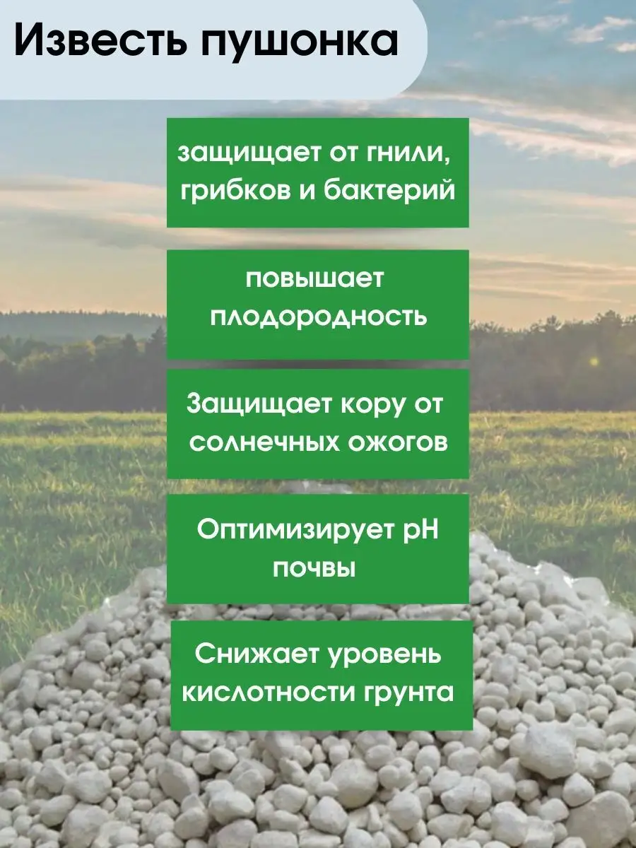 Известь негашеная гранулированная 4кг MIR-OPT купить по цене 16,51 р. в  интернет-магазине Wildberries в Беларуси | 143075919