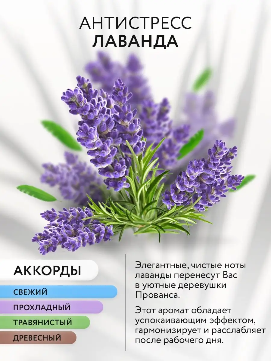 Ароматизатор для дома с палочками аромадиффузор Sandokkaebi купить по цене  445 ₽ в интернет-магазине Wildberries | 143491414