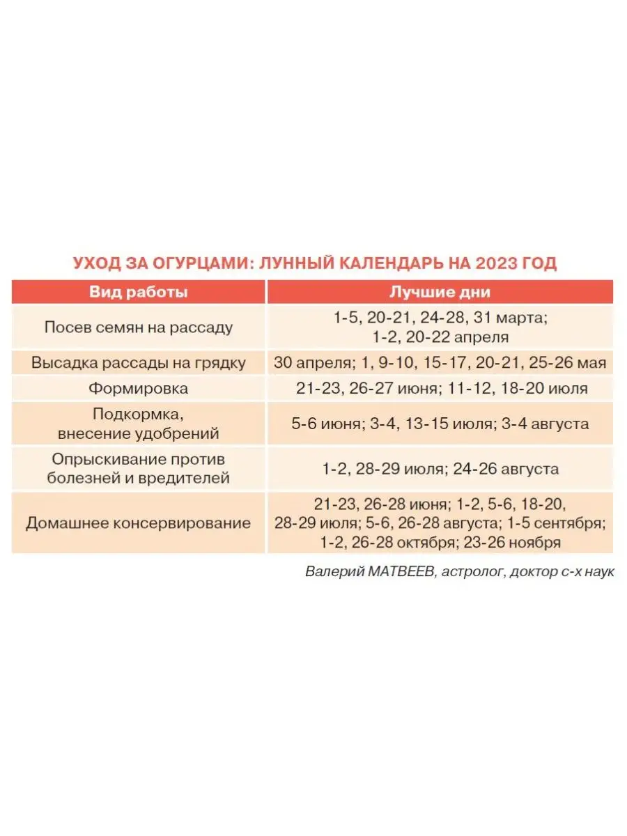 Журнал. Огурцы от посадки до закатки №1 23 Садовод и огородник купить по  цене 165 ₽ в интернет-магазине Wildberries | 143816085