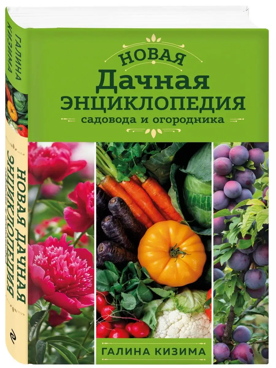 Wildberries — интернет-магазин модной одежды, обуви и аксессуаров