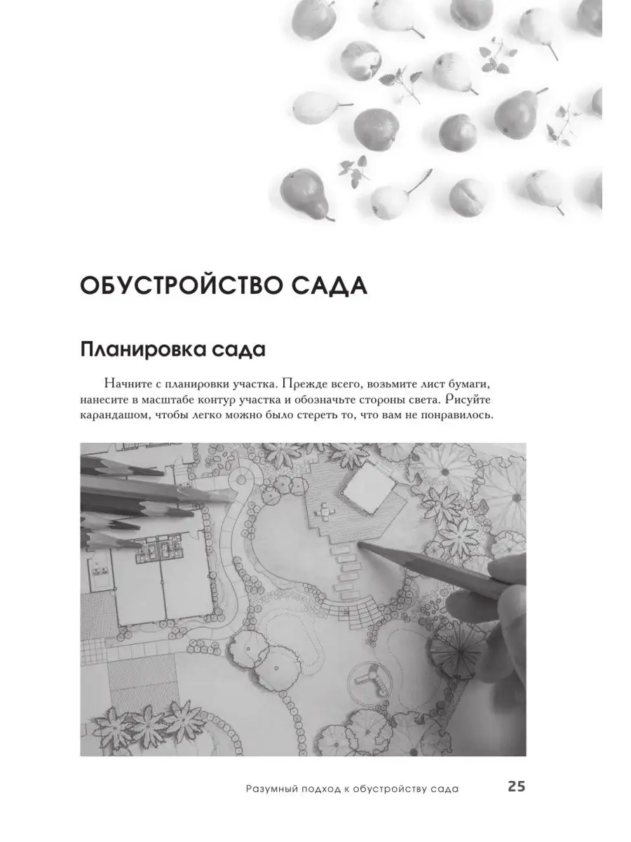 Wildberries — интернет-магазин модной одежды, обуви и аксессуаров