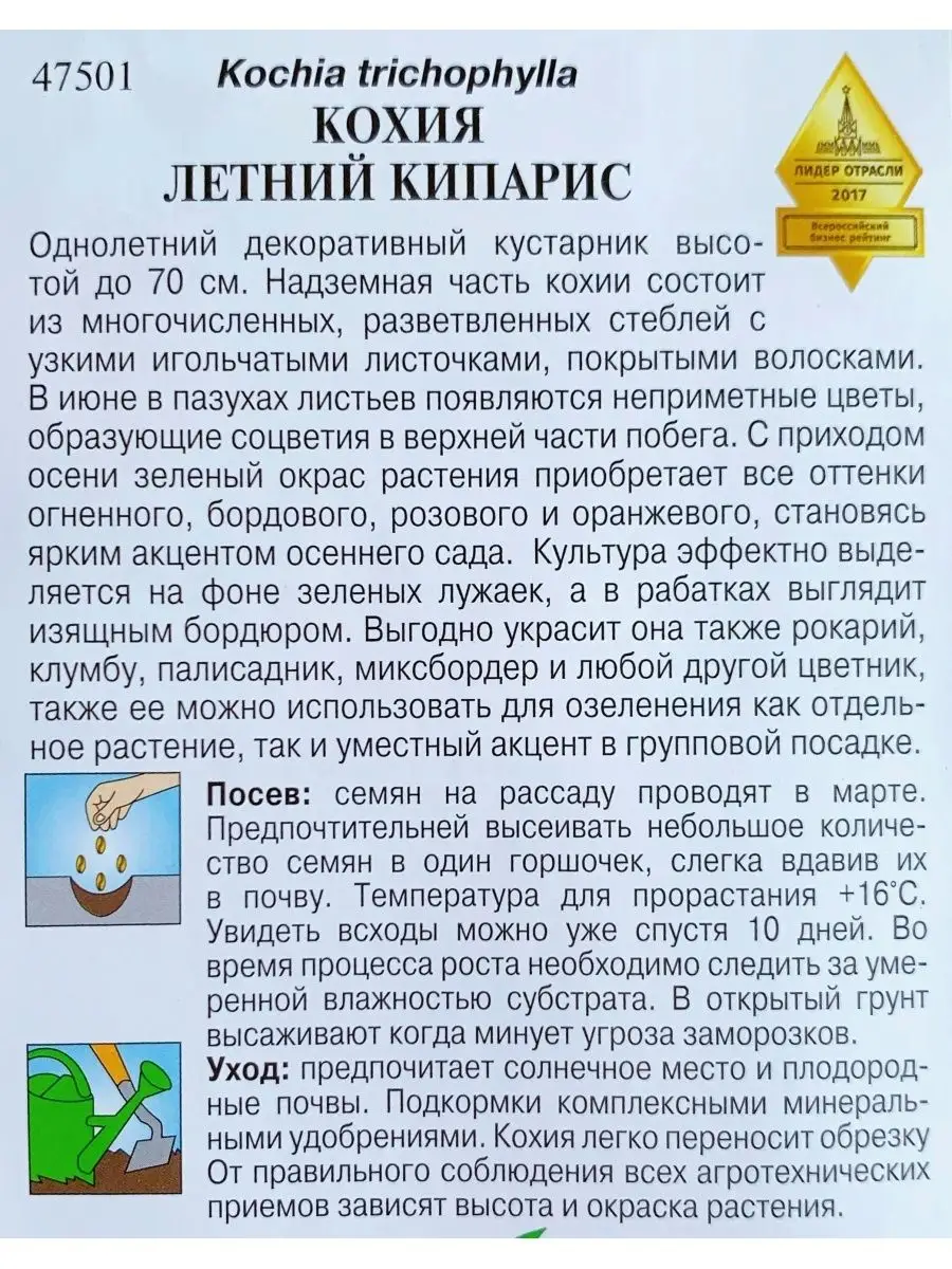 Семена Кохия Летний кипарис Дом семян купить по цене 96 ₽ в  интернет-магазине Wildberries | 144391011