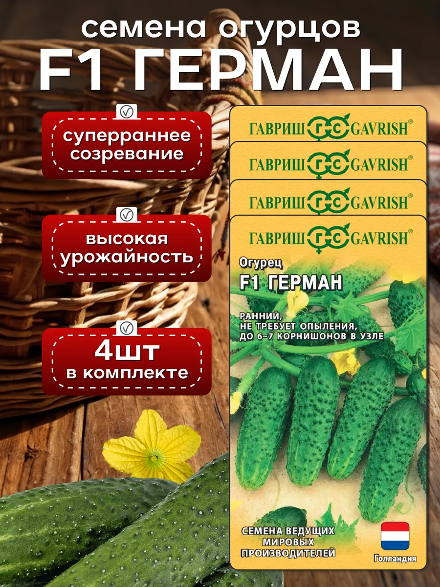 Где Купить Настоящие Голландские Семена