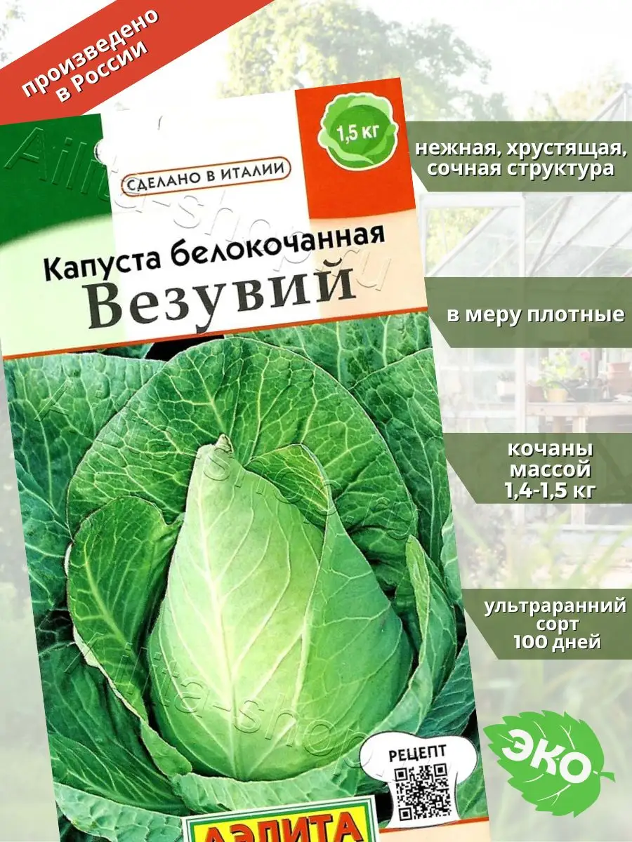 Капуста белокочанная Везувий Агрофирма Аэлита купить по цене 0 сум в  интернет-магазине Wildberries в Узбекистане | 144906631