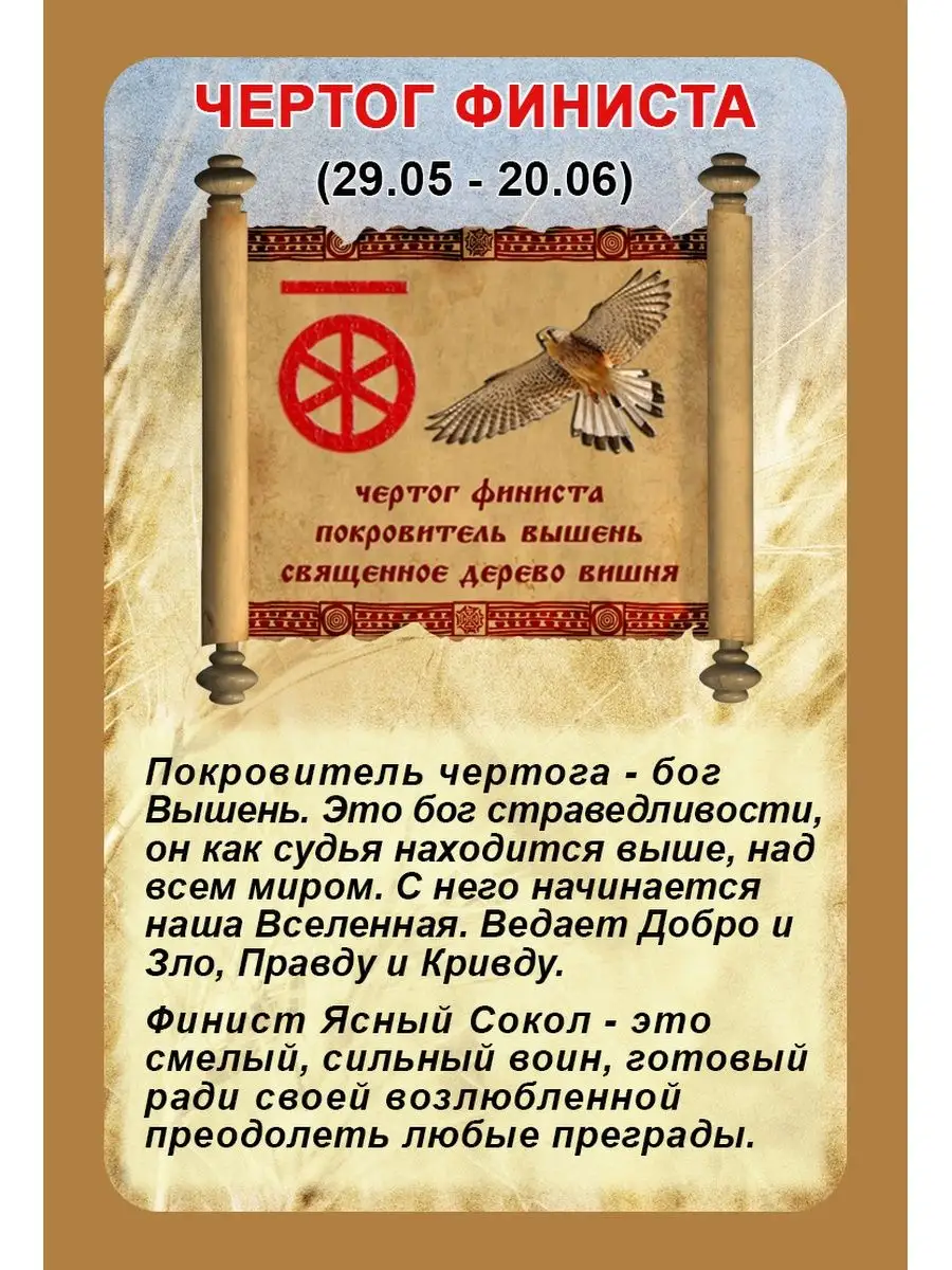 Чертог финиста описание. Славянский бог вышень чертог финиста. Тату вышень чертог финиста. Чертог финиста описание. Славянский оберег чертог финиста.