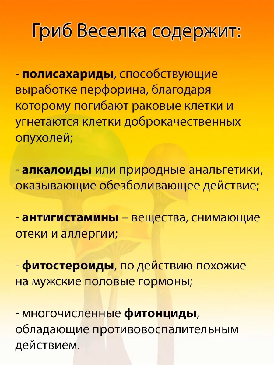 Настойка гриба Веселка обыкновенная 250 мл VitApteka.ru купить по цене 865  ₽ в интернет-магазине Wildberries | 145022728