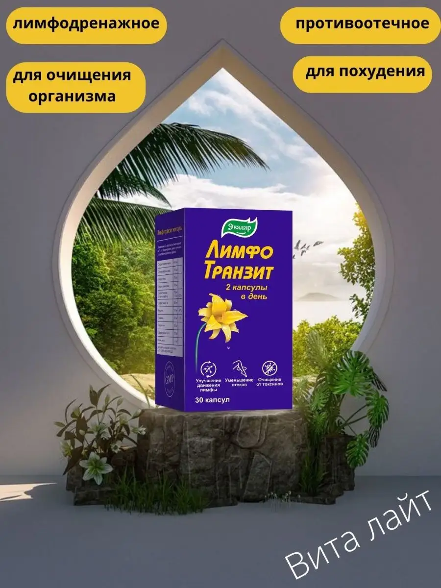 Лимфотранзит Купить В Челябинске В Аптеке