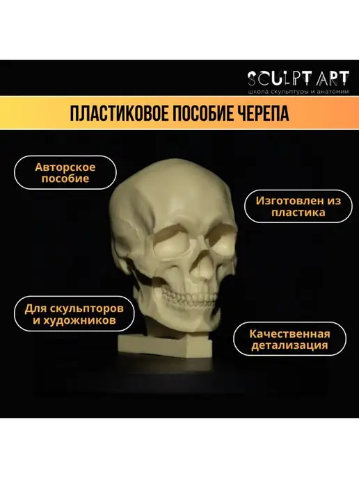 Sculpt Art Пластиковый череп