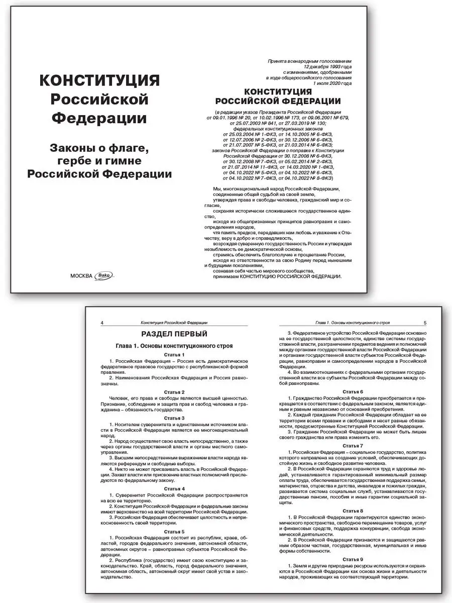 Конституция РФ 2023 с поправками 2022 г. последняя редакция ВАКО купить по  цене 139 ₽ в интернет-магазине Wildberries | 146266528