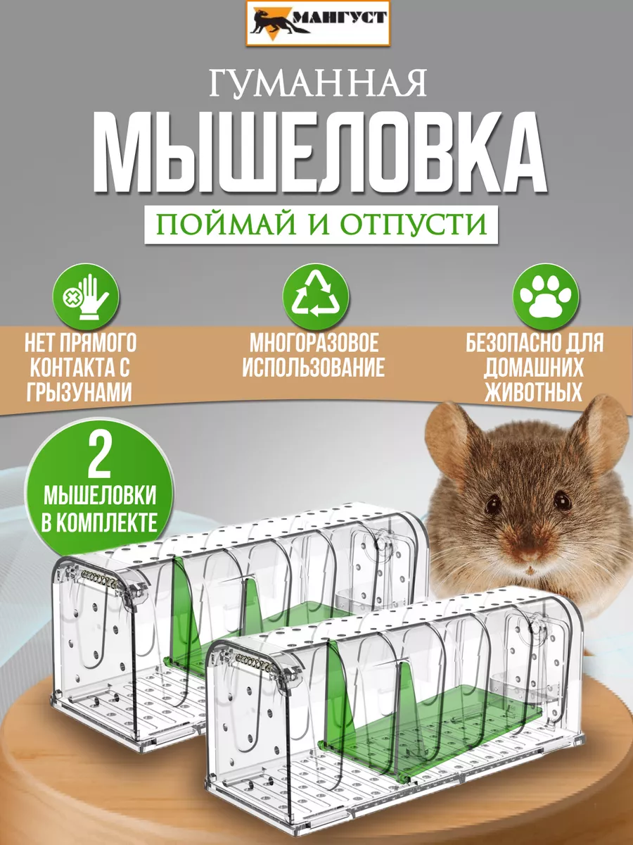 Мангуст Мышеловка живоловка гуманная для мышей