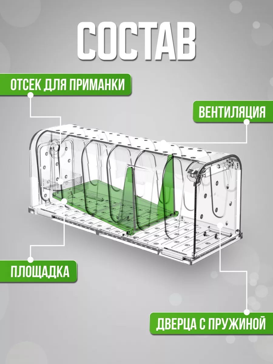 Мышеловка живоловка гуманная для мышей Мангуст купить по цене 563 ₽ в  интернет-магазине Wildberries | 146510872