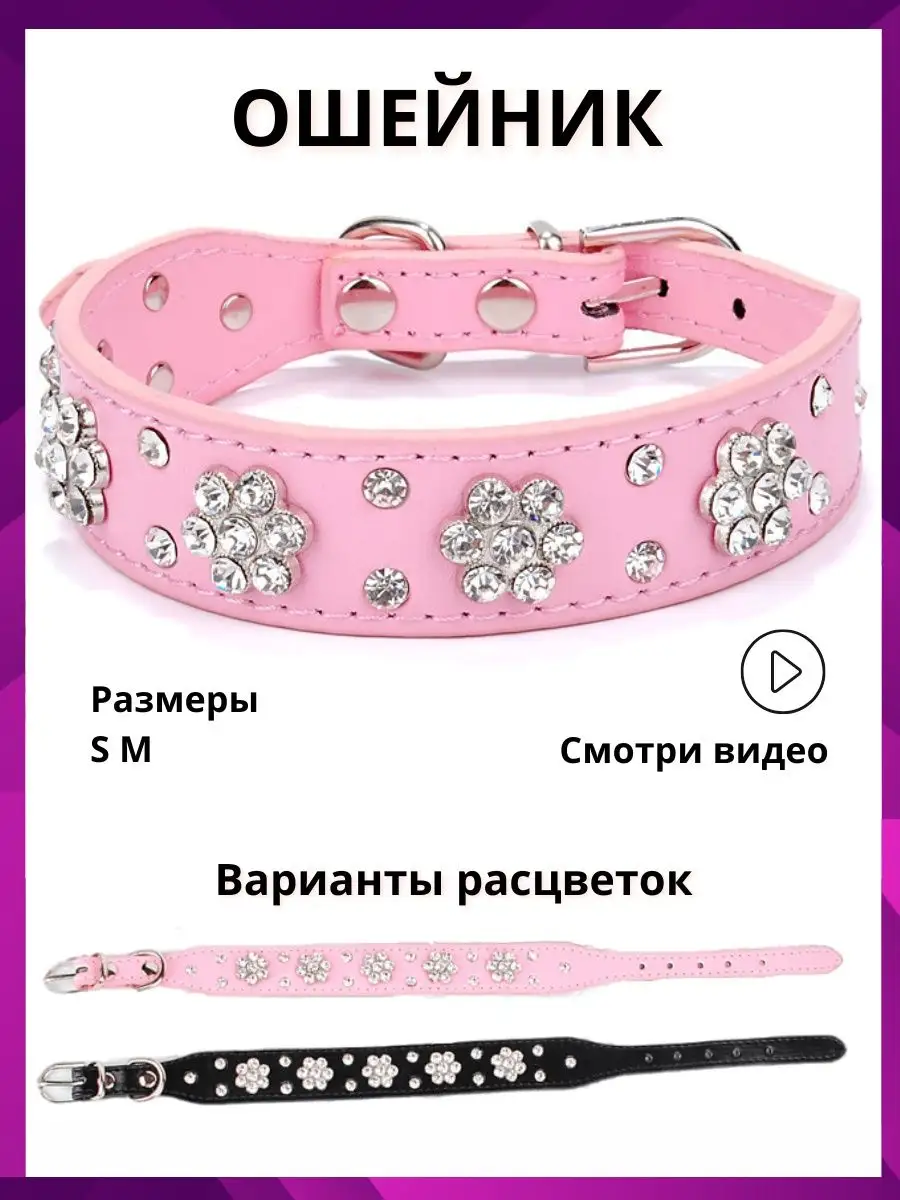 Ошейник со стразами Star Pets купить по цене 440 ₽ в интернет-магазине  Wildberries | 146720255