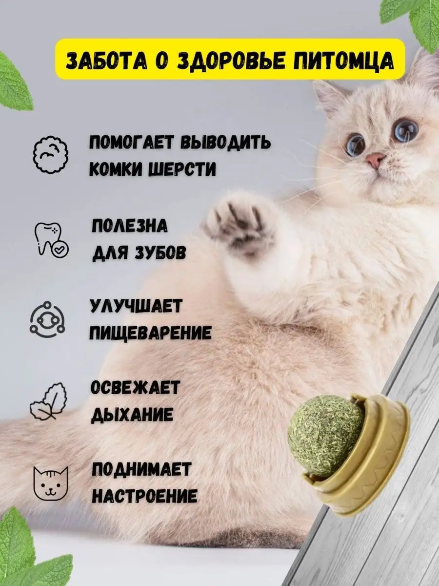 Кошачья мята игрушка для кошек мятный шарик кошачий леденец ValeVika купить  по цене 0 ₽ в интернет-магазине Wildberries | 147085671