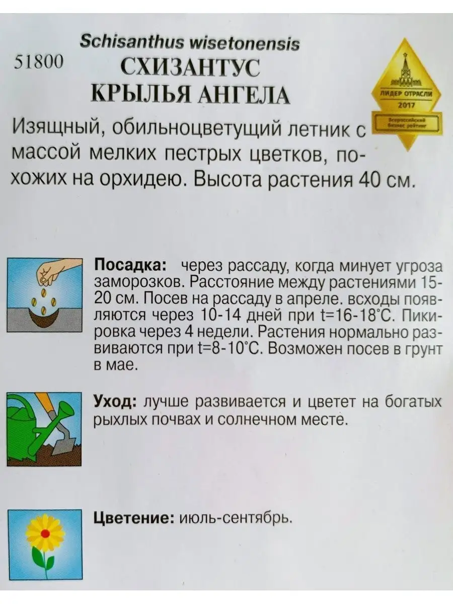 Семена цветов Схизантус Крылья ангела Дом семян купить по цене 120 ₽ в  интернет-магазине Wildberries | 147170019