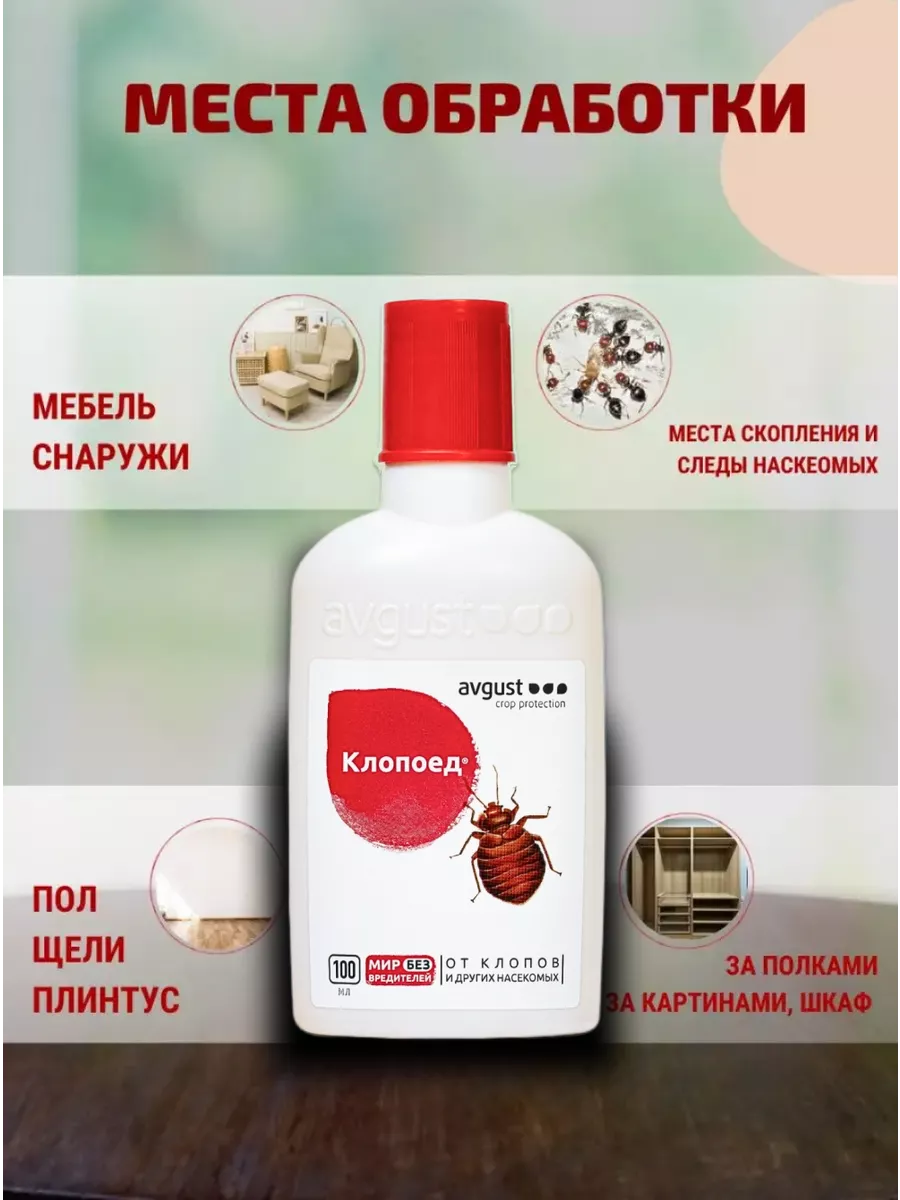 Клопоед, 3 шт AVGUST купить по цене 1 056 ₽ в интернет-магазине Wildberries  | 147217568