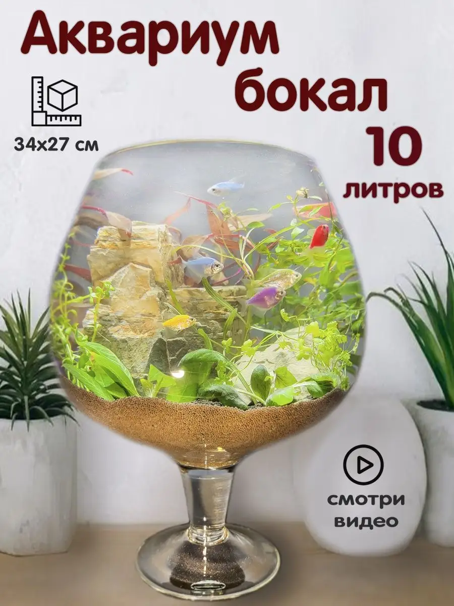 Аквариум бокал 10 литров для рыбок, петушка, круглый BOBOLING купить по  цене 82,07 р. в интернет-магазине Wildberries в Беларуси | 147841192