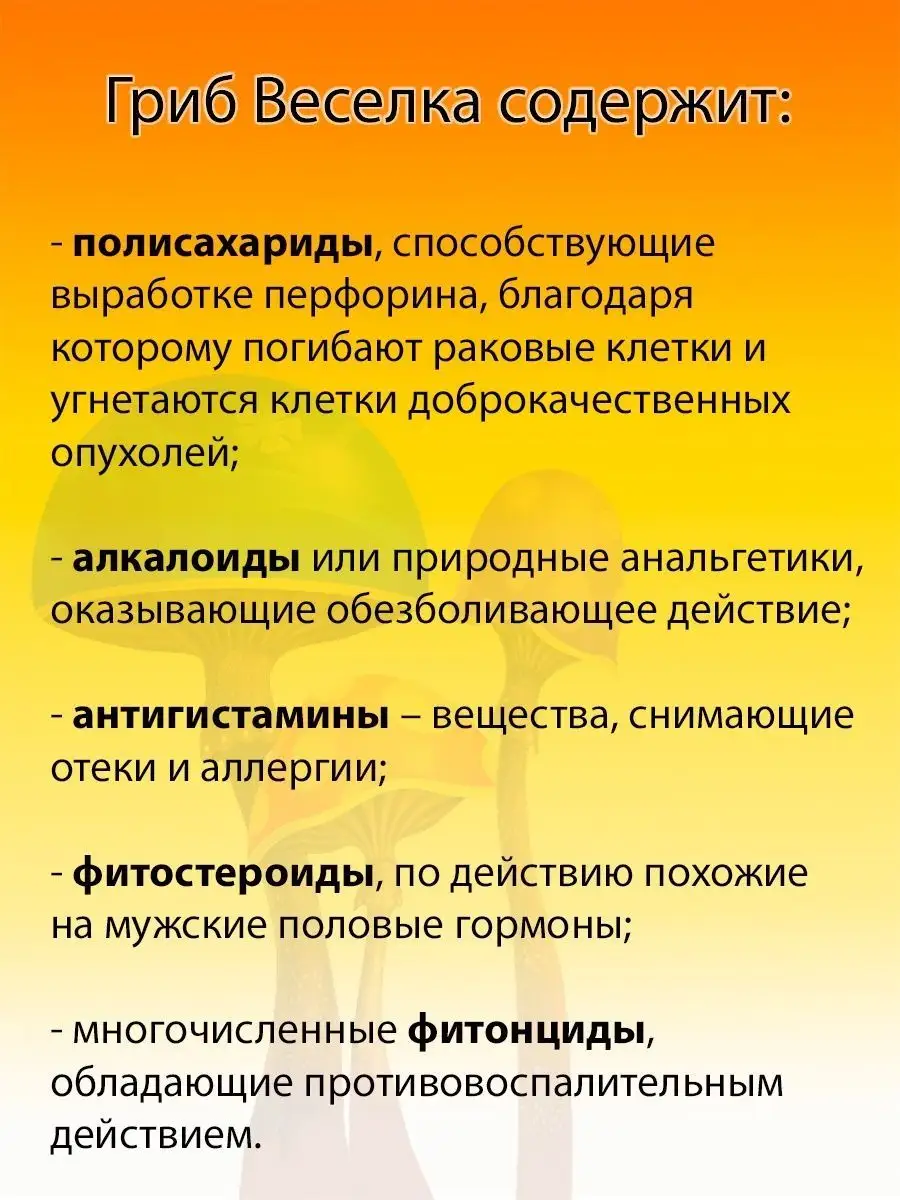 Гриб веселка в капсулах - 120 шт VitApteka.ru купить по цене 1 504 ₽ в  интернет-магазине Wildberries | 148387650