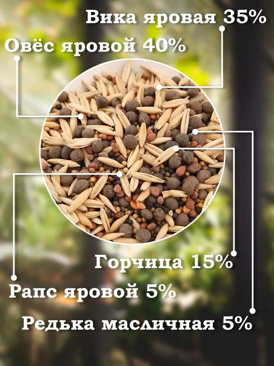 Агросидстрейд Смесь сидератов Тыквенных 1кг АСТ, эко сидераты семена