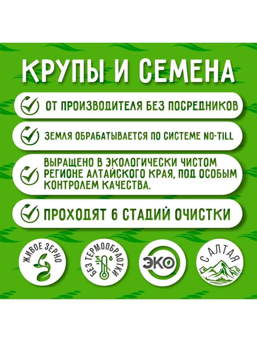 Купить Зеленую Гречку Алтай
