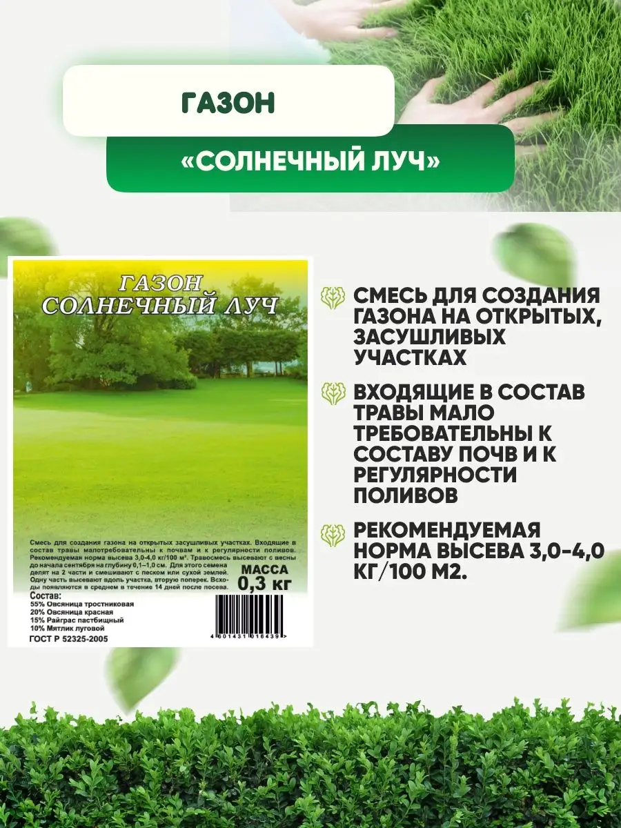 Газон Солнечный луч для солнечных мест Гавриш купить по цене 0 р. в  интернет-магазине Wildberries в Беларуси | 148930022