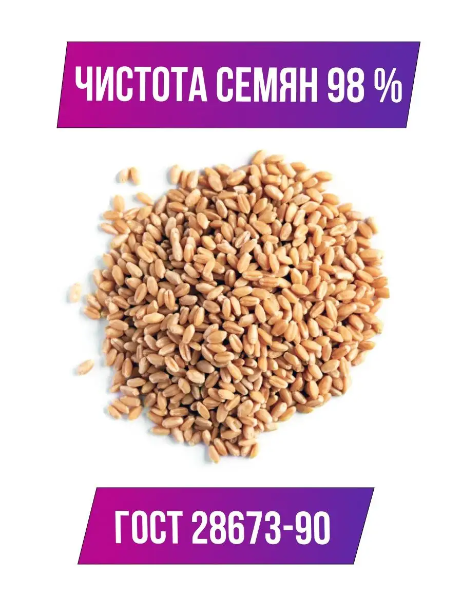 Пшеница для проращивания 5 кг. Зерно пшеницы Natural Seeds купить по цене  412 ₽ в интернет-магазине Wildberries | 148968040