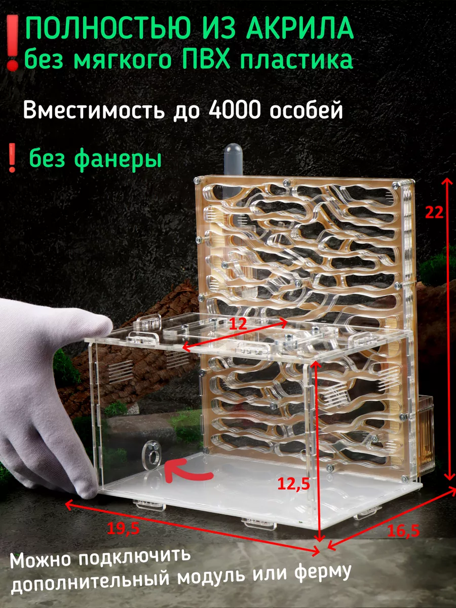 Большая XXL Муравьиная ферма для муравьев Мураш купить по цене 4 969 ₽ в  интернет-магазине Wildberries | 148981802